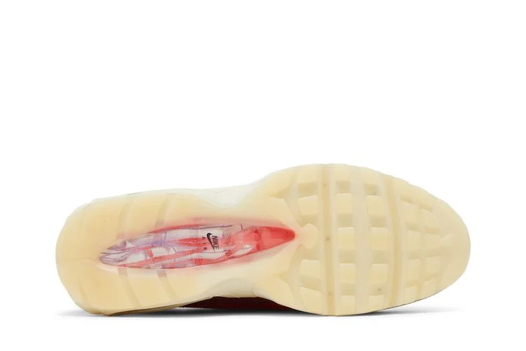 Кроссовки Nike Air Max 95 'Anatomy Of Air'