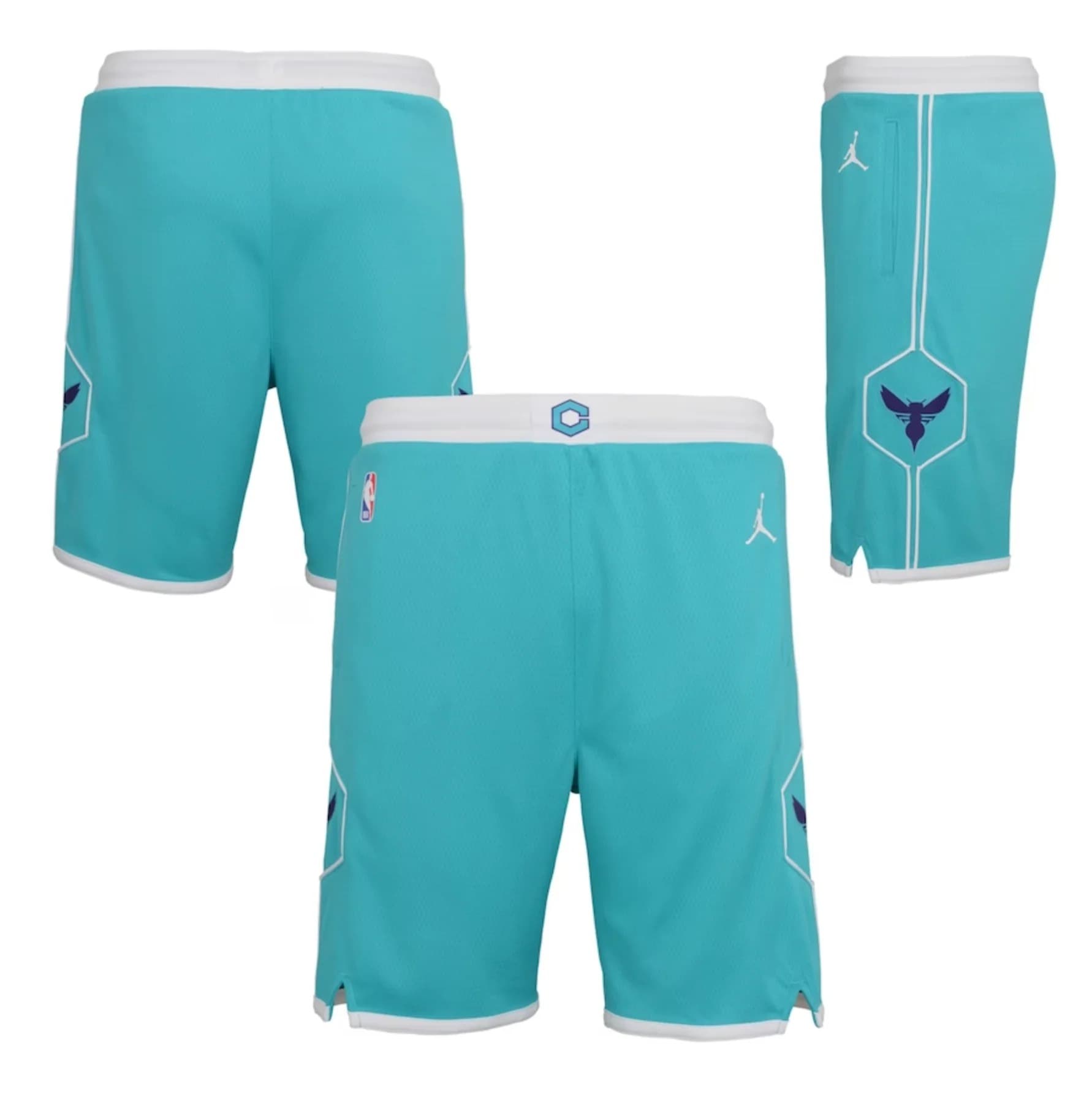 Спортивные шорты Nike Charlotte Hornets 2024 Icon Edition Swingman Youth NBA Shorts