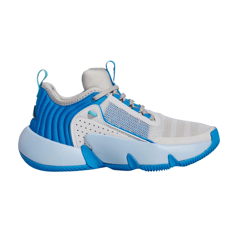 Кроссовки Adidas Trae Unlimited Big Kid 'Dash Grey Bright Blue'