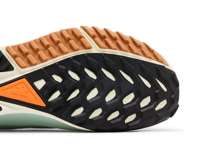 Кроссовки React Pegasus Trail 4 GORE-TEX 'Have a Nike Day'