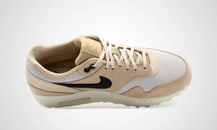 Krossovki-NikeLab-Wmns-Air-Max-1-Pinnacle-Mushroom-1