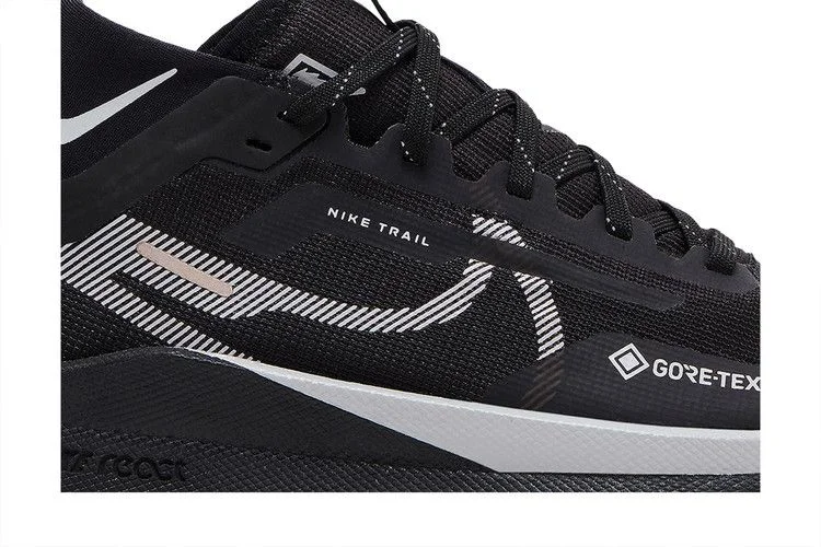 Кроссовки Nike Wmns React Pegasus Trail 4 GORE-TEX 'Black Reflect Silver'