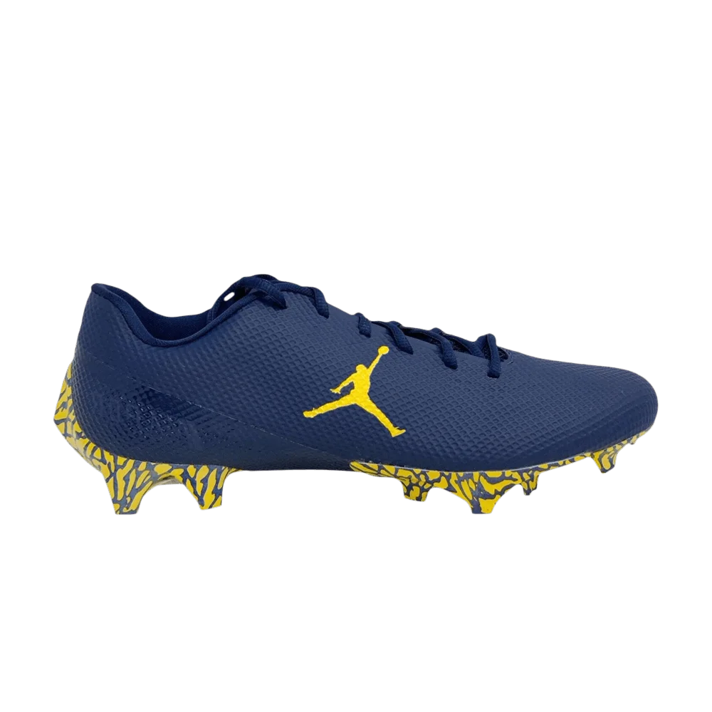 Krossovki-Nike-Jordan-Vapor-Edge-Speed-360-SMU-Michigan-PE