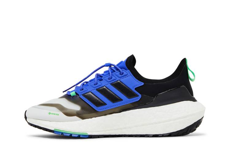 Кроссовки adidas UltraBoost 21 GORE-TEX 'White Sonic Ink'
