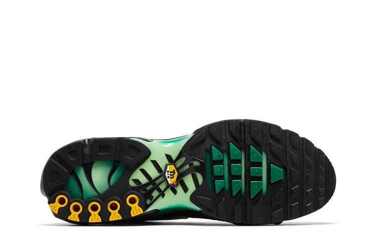 Кроссовки Nike Air Max Plus 'Vapor Green Gradient'