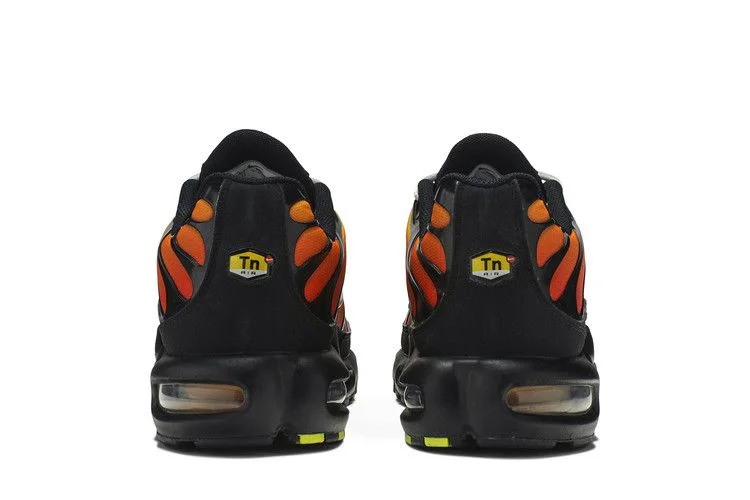 Кроссовки Nike Air Max Plus OG 'Tiger'