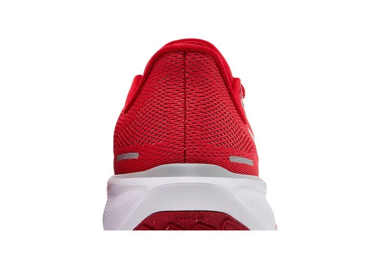 Кроссовки Nike Air Zoom Pegasus 41 'Ohio State'