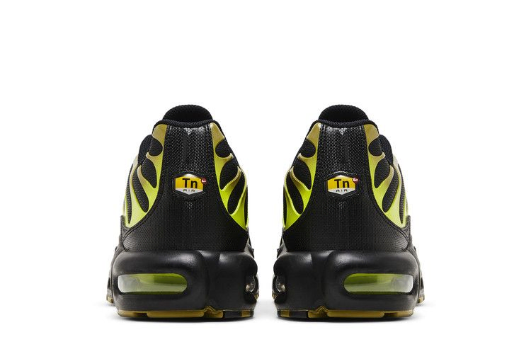 Кроссовки Nike Air Max Plus 'Pacific Moss'