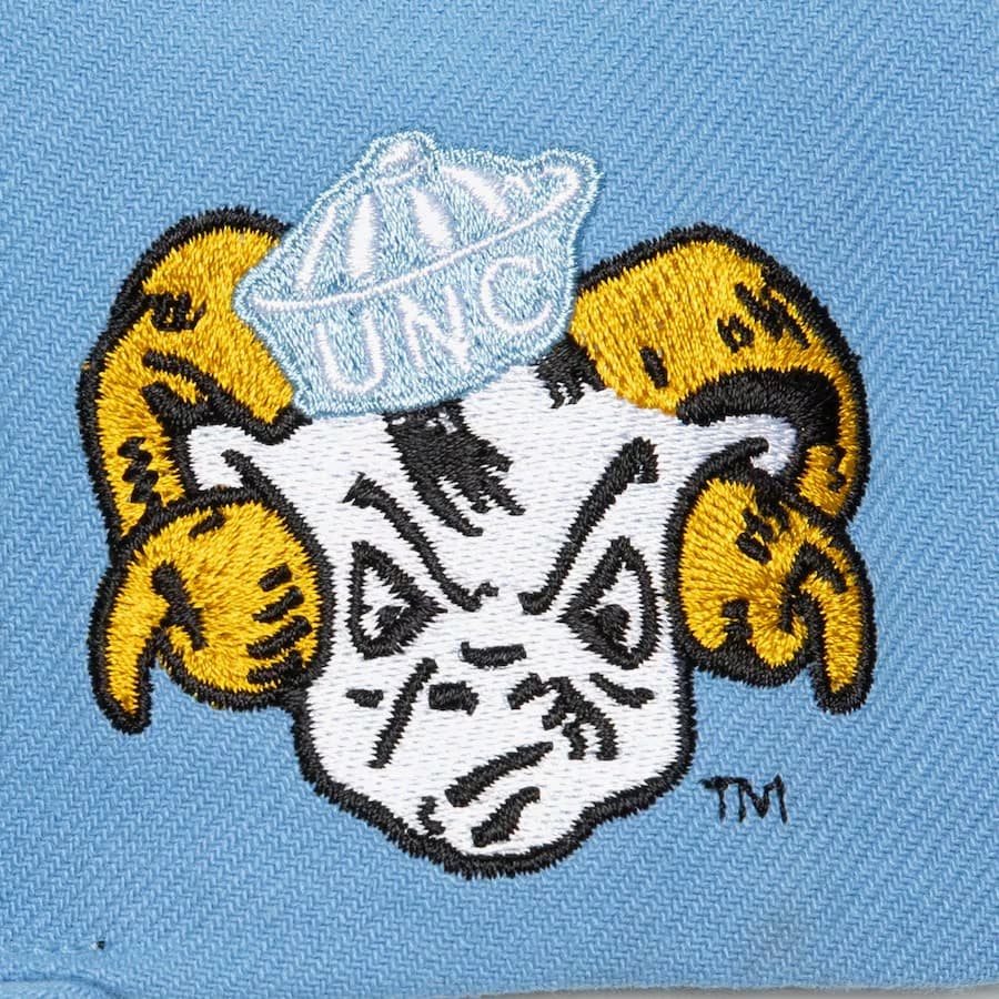 Бейсболка Mitchell & Ness Carolina Blue North Carolina Tar Heels Just Don Team Vault Snapback Hat