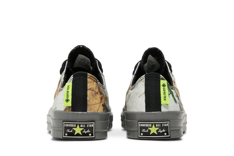 Кроссовки Realtree x Converse Chuck 70 GTX Low 'White'