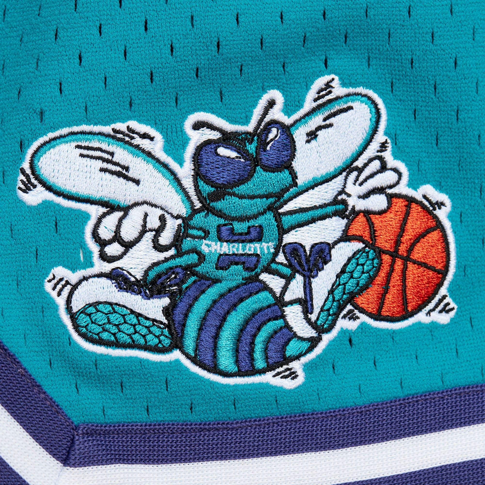 Спортивные шорты Mitchell & Ness Just Don Practice Charlotte Hornets Shorts