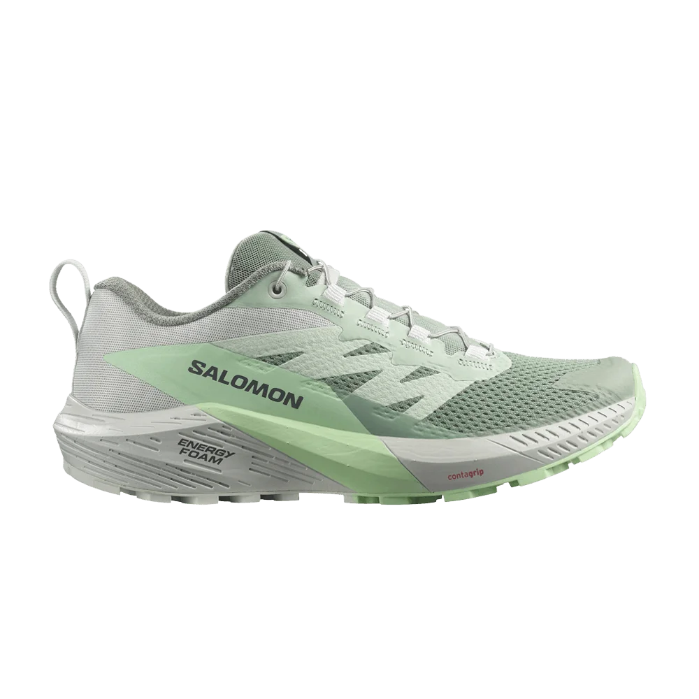 Krossovki-Salomon-Wmns-Sense-Ride-5-Lily-Pad-Metal