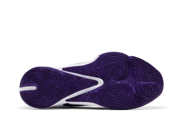 Кроссовки Nike Zoom Freak 3 TB 'Court Purple'