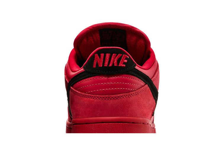 dunk-low-pro-sb-304292-601_06