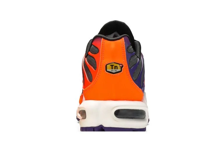 Кроссовки Nike Air Max Plus 'Color Flip'