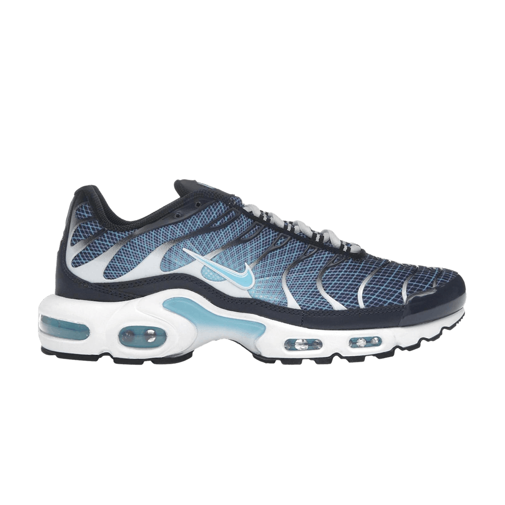 Кроссовки Nike Air Max Plus 'Dark Obsidian'