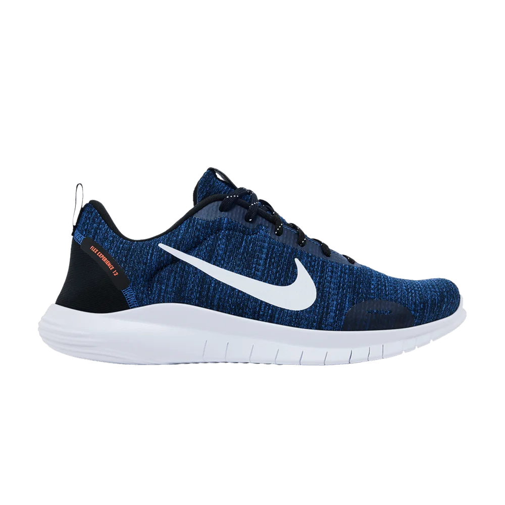 Krossovki-Nike-Flex-Experience-Run-12-Extra-Wide-Astronomy-Blue