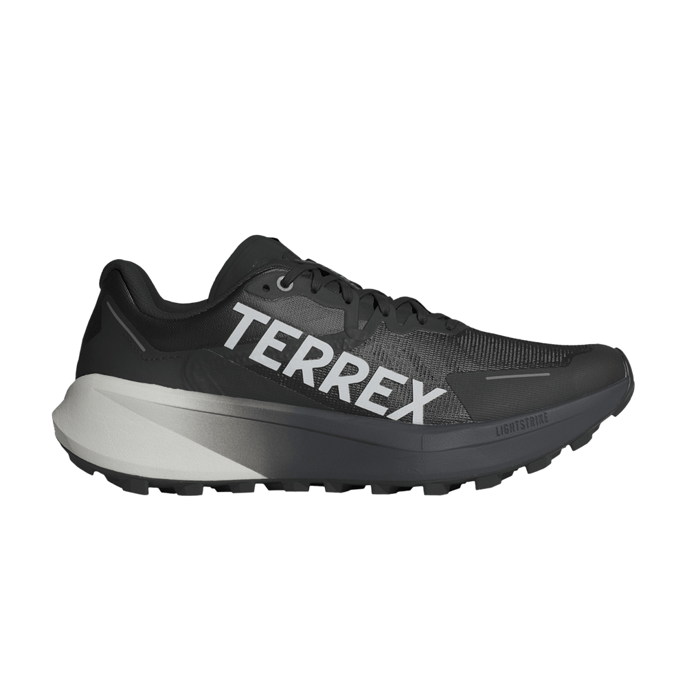Кроссовки Adidas Terrex Agravic 3 'Black Grey'