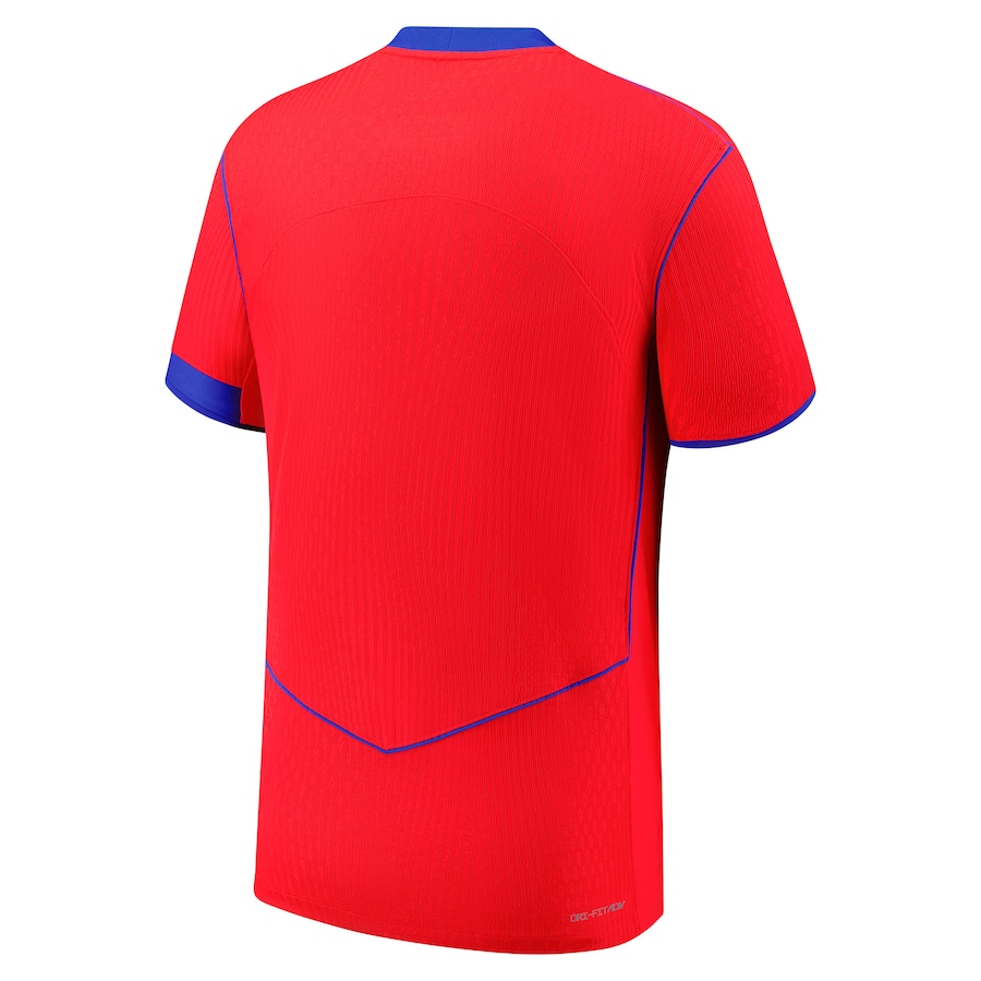 Футбольное джерси PSG Nike Third Dri-FIT ADV Match Shirt 2025-26