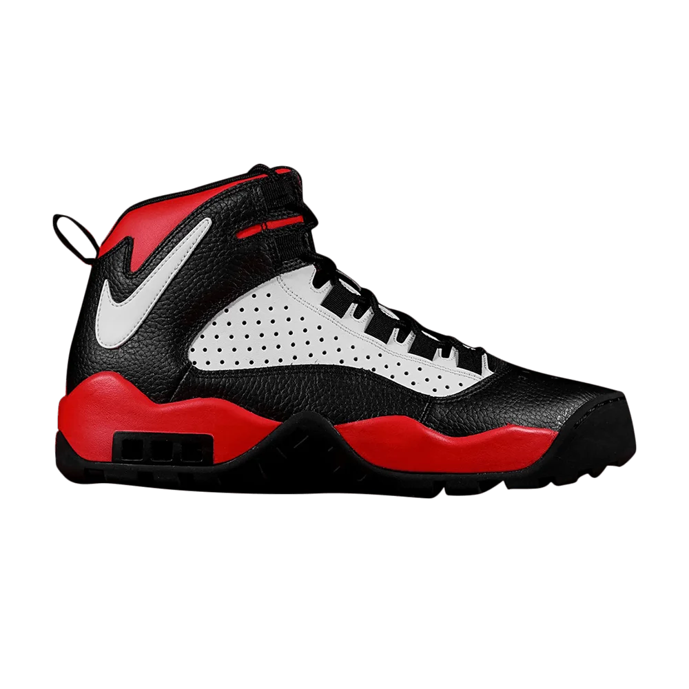 Krossovki-Nike-Air-Darwin-Bulls