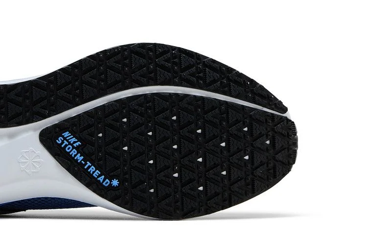 Krossovki-Nike-Wmns-Air-Zoom-Pegasus-41-GORE-TEX-Cobalt-Bliss-4