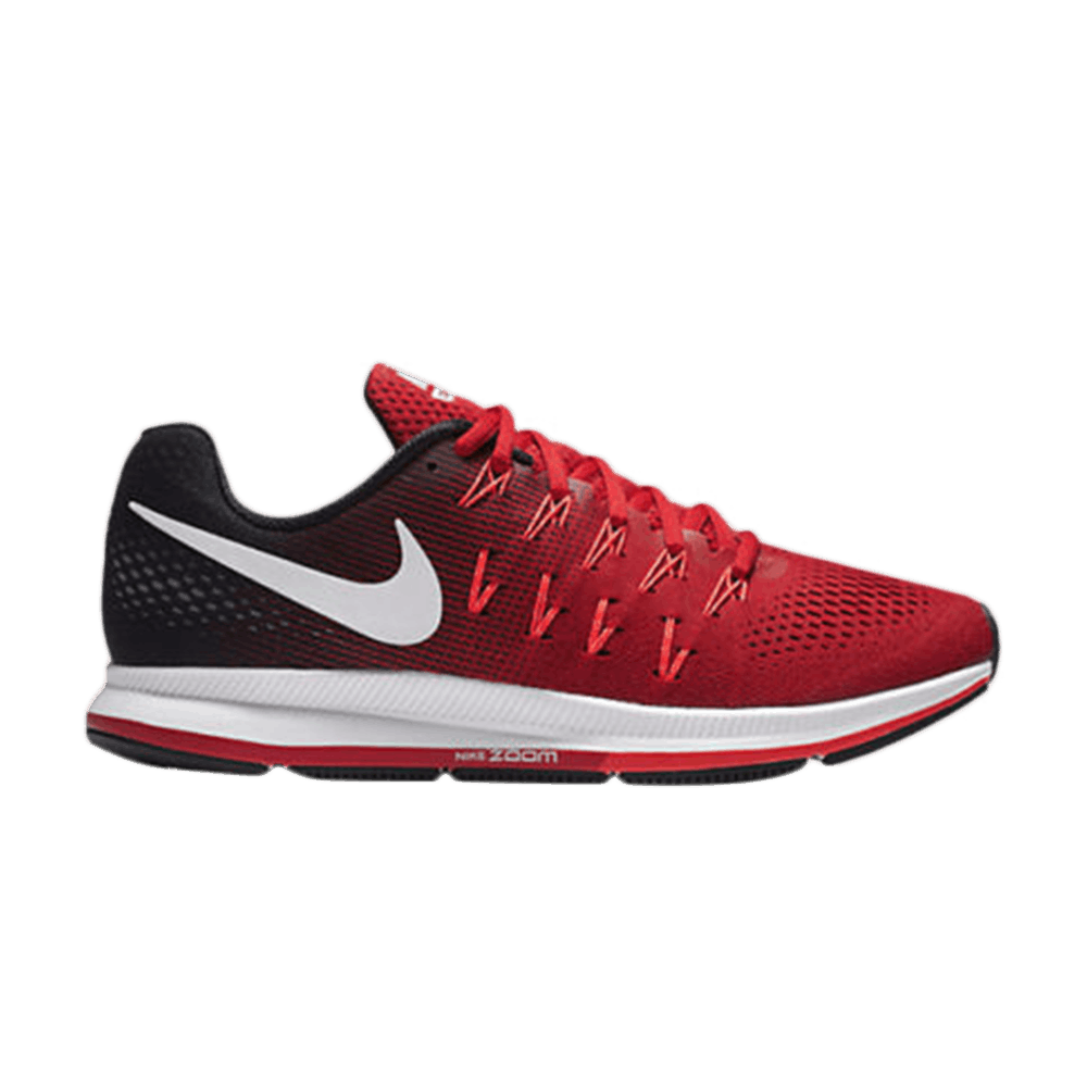 air-zoom-pegasus-33-831352-601