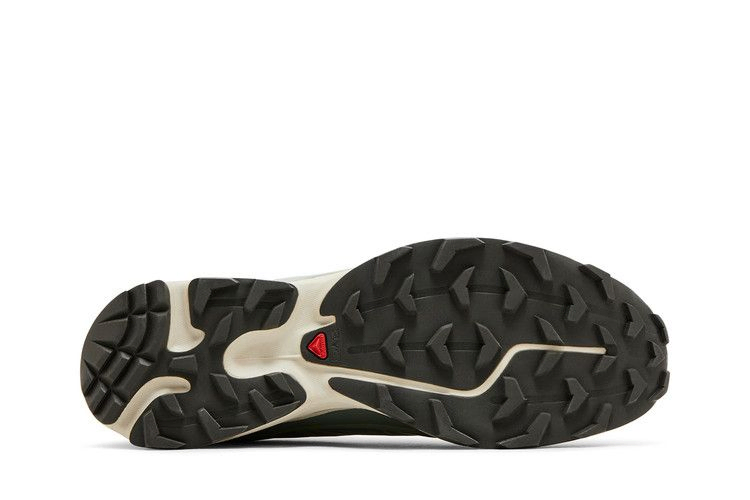 Кроссовки Salomon XT-6 'Laurel Wreath'