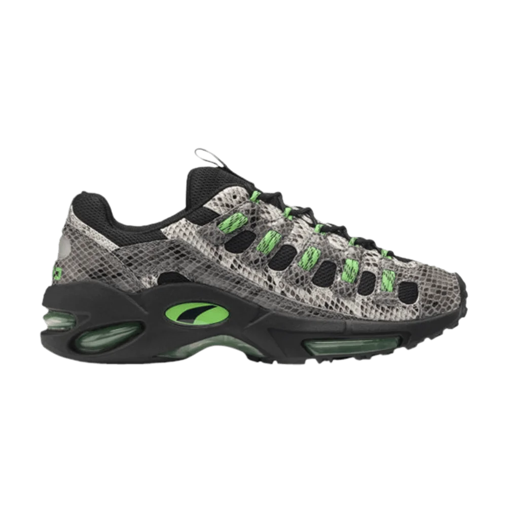 Krossovki-Puma-Cell-Endura-Animal-Kingdom