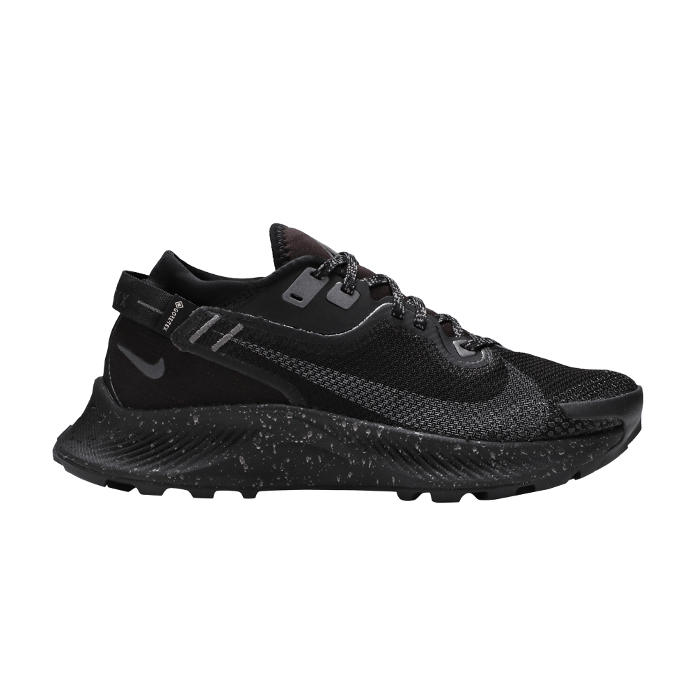Кроссовки Nike Wmns Pegasus Trail 2 Gore-Tex 'Black Metallic Dark Grey'