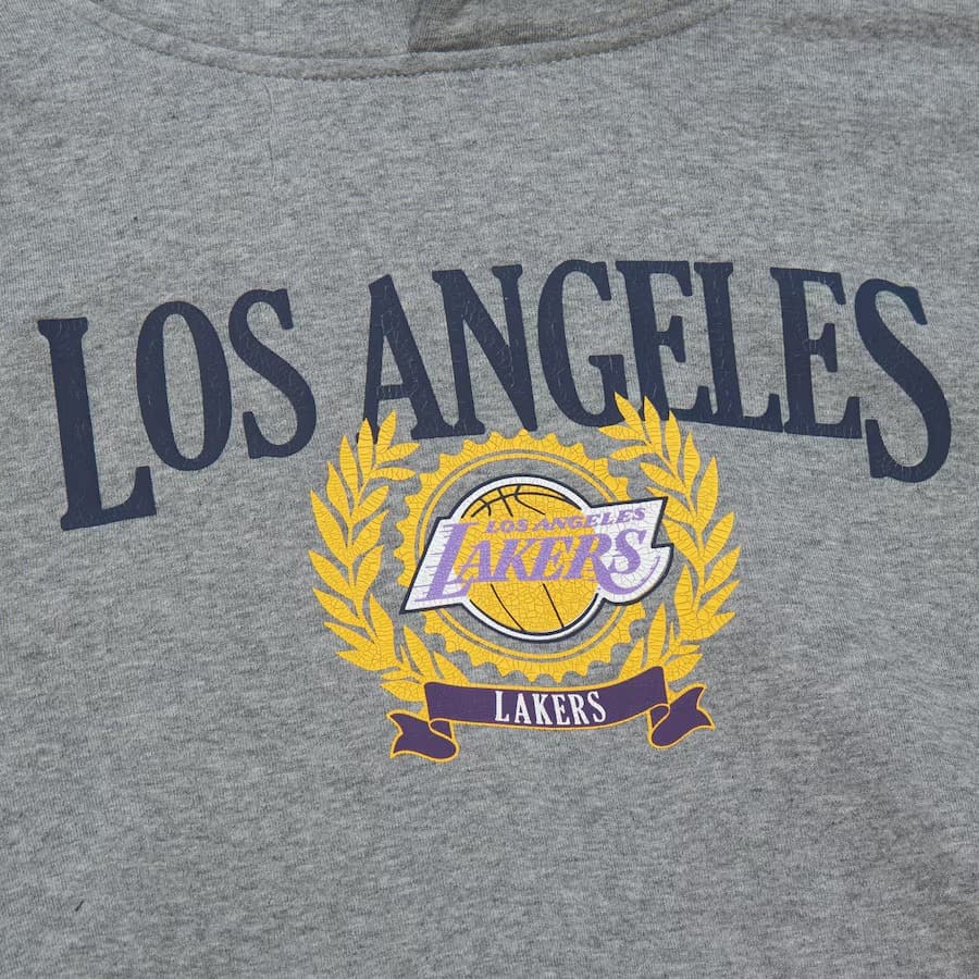 Худи Mitchell & Ness Gray Los Angeles Lakers Collegiate Pullover Hoodie