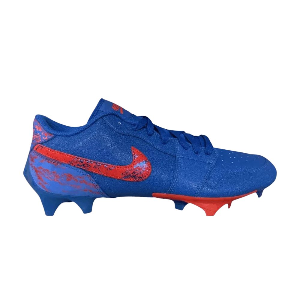 Krossovki-Nike-Jordan-1-Vapor-Edge-Low-Florida-Gators-PE