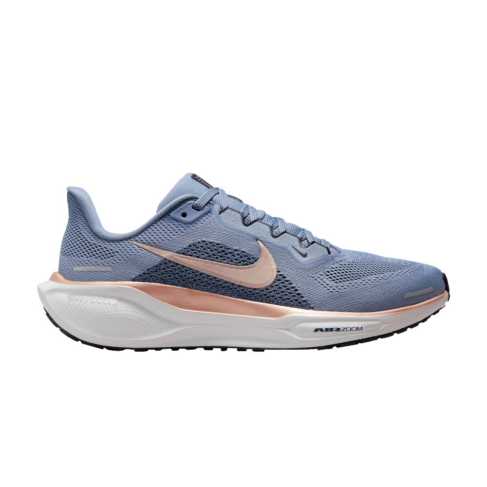 Кроссовки Nike Wmns Air Zoom Pegasus 41 'Ashen Slate Metallic Red Bronze'