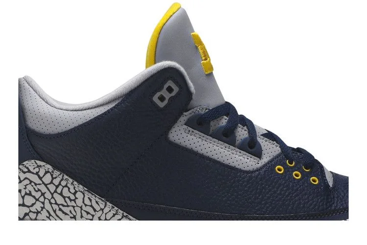 Кроссовки Air Jordan 3 Retro 'Michigan Wolverines' PE