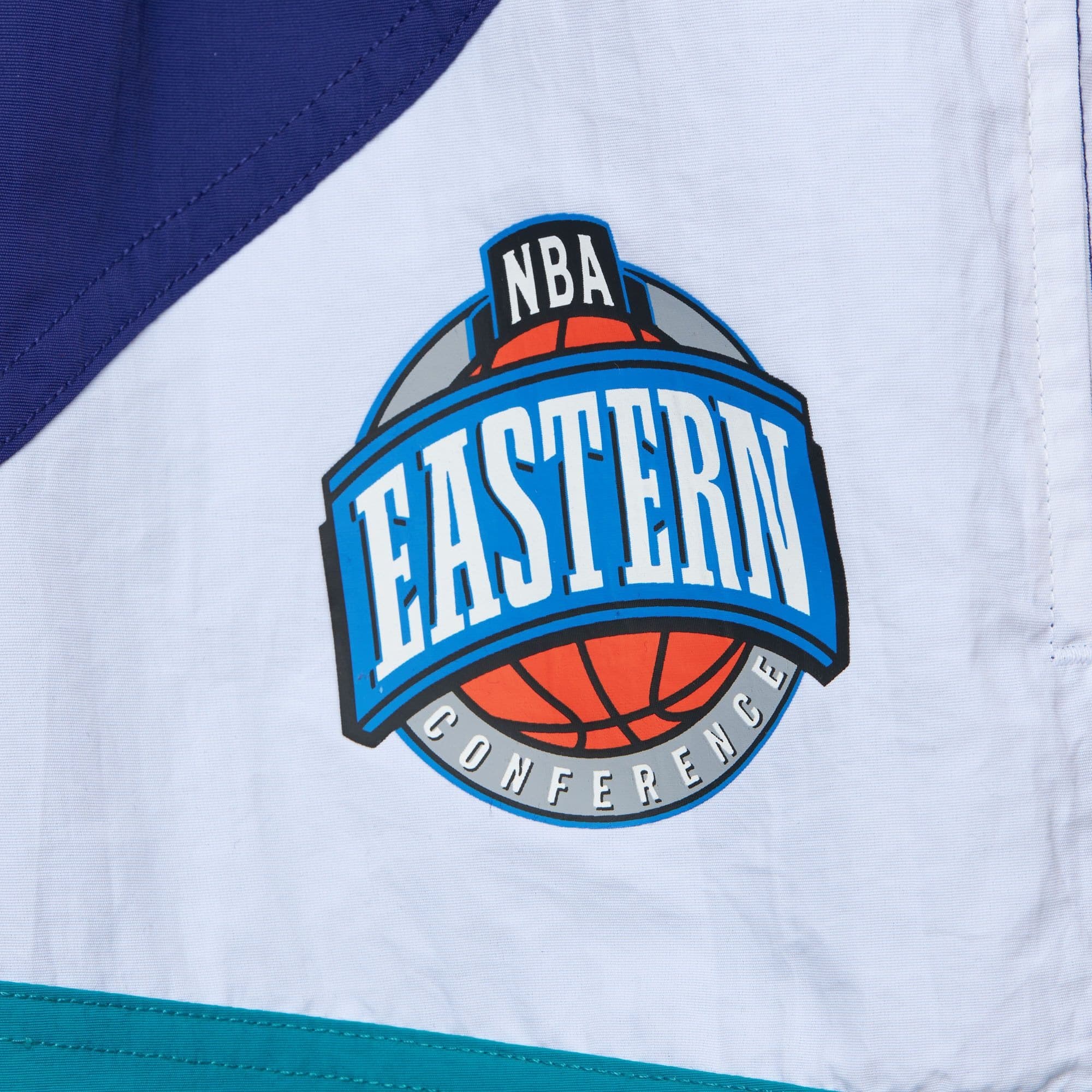 Спортивные шорты Mitchell & Ness Woven Shorts Vintage Logo Charlotte Hornets Shorts