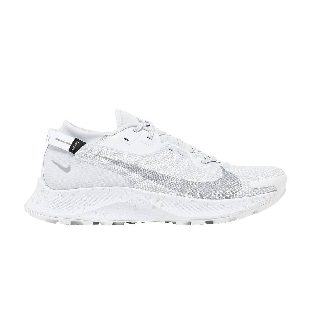 Krossovki-Nike-Pegasus-Trail-2-Gore-Tex-Pure-Platinum