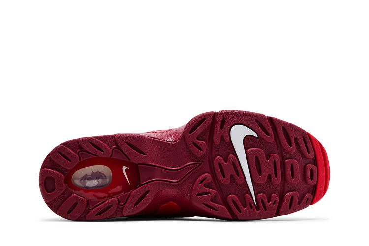 Кроссовки Nike Air DT Max '96 'Love Letter to Connie'