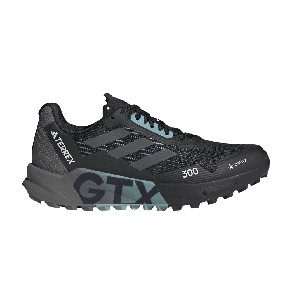Кроссовки Adidas Wmns Terrex Agravic Flow 2.0 GORE-TEX 'Black Light Blue'