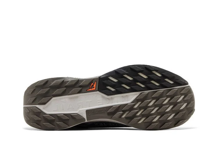 Кроссовки Nike Pegasus Trail 5 GORE-TEX 'Ironstone Velvet Brown'