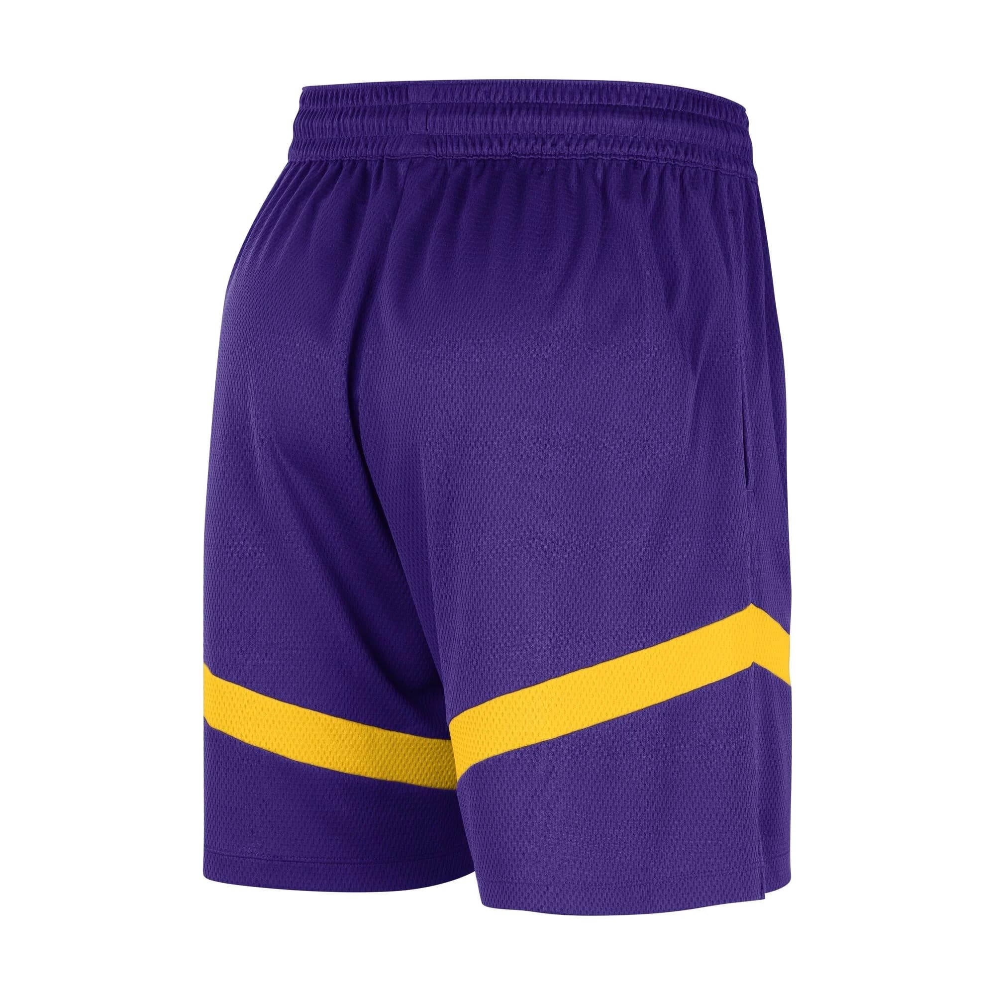 Спортивные шорты Nike Los Angeles Lakers Practice NBA Shorts