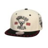 Mitchell-Ness-Dune-Royal-Snapback-Chicago-Bulls-Hat-100x100