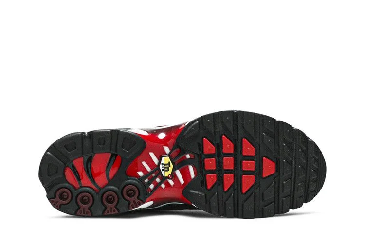 Кроссовки Nike Air Max Plus GS 'Bred'