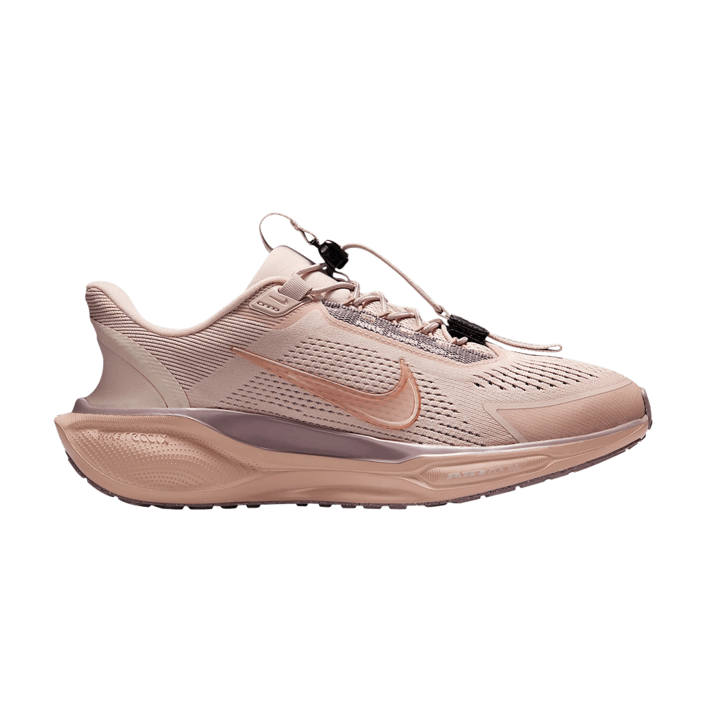 Кроссовки Nike Wmns Air Zoom Pegasus 41 EasyOn 'Silt Red'