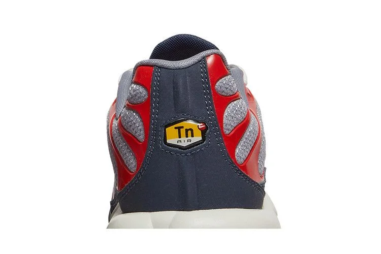 Кроссовки Nike Air Max Plus 'Grey USA'