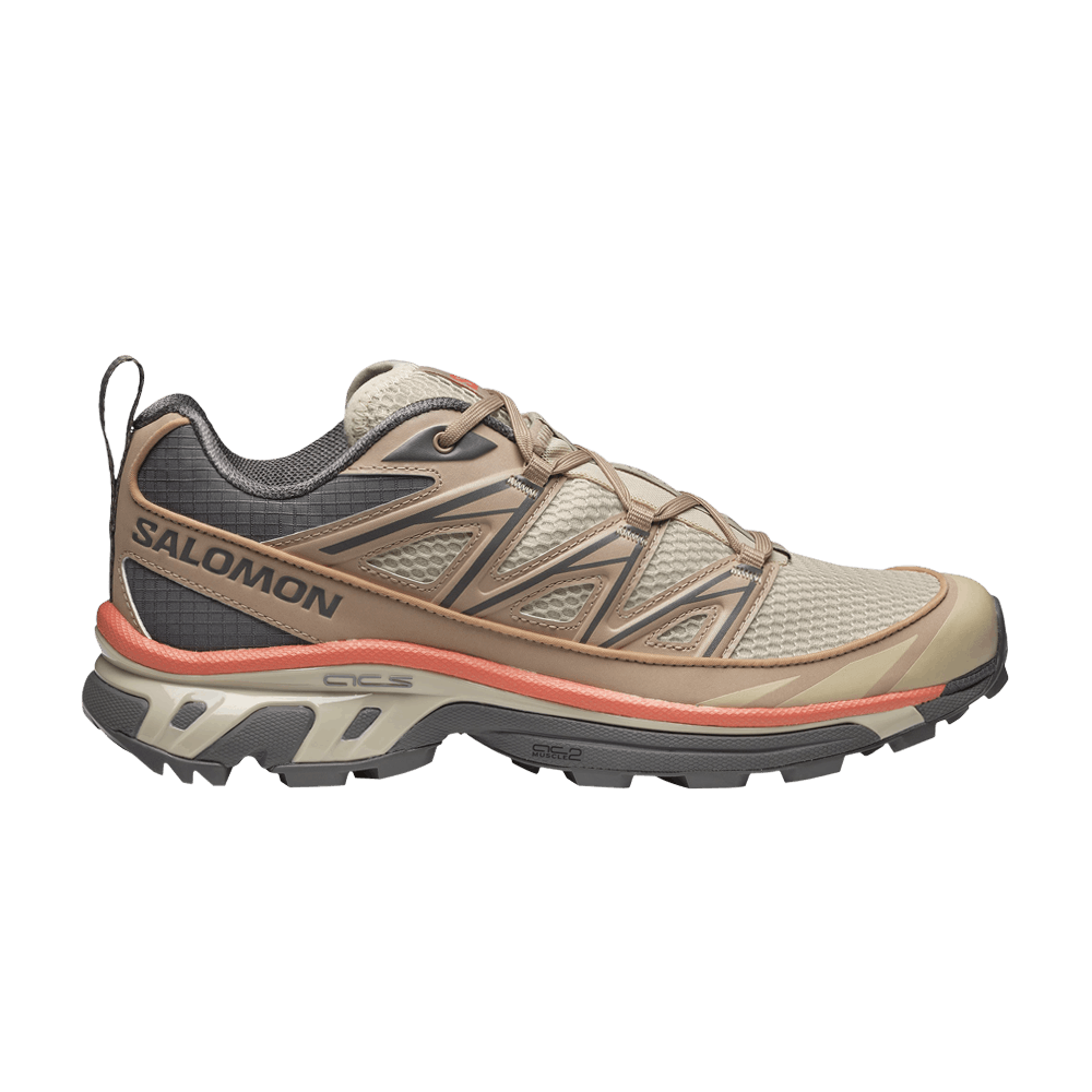 Кроссовки Salomon XT-6 Expanse Seasonal 'Natural Plum Kitten'