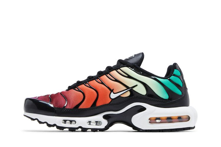 Кроссовки Nike Wmns Air Max Plus 'Rainbow'