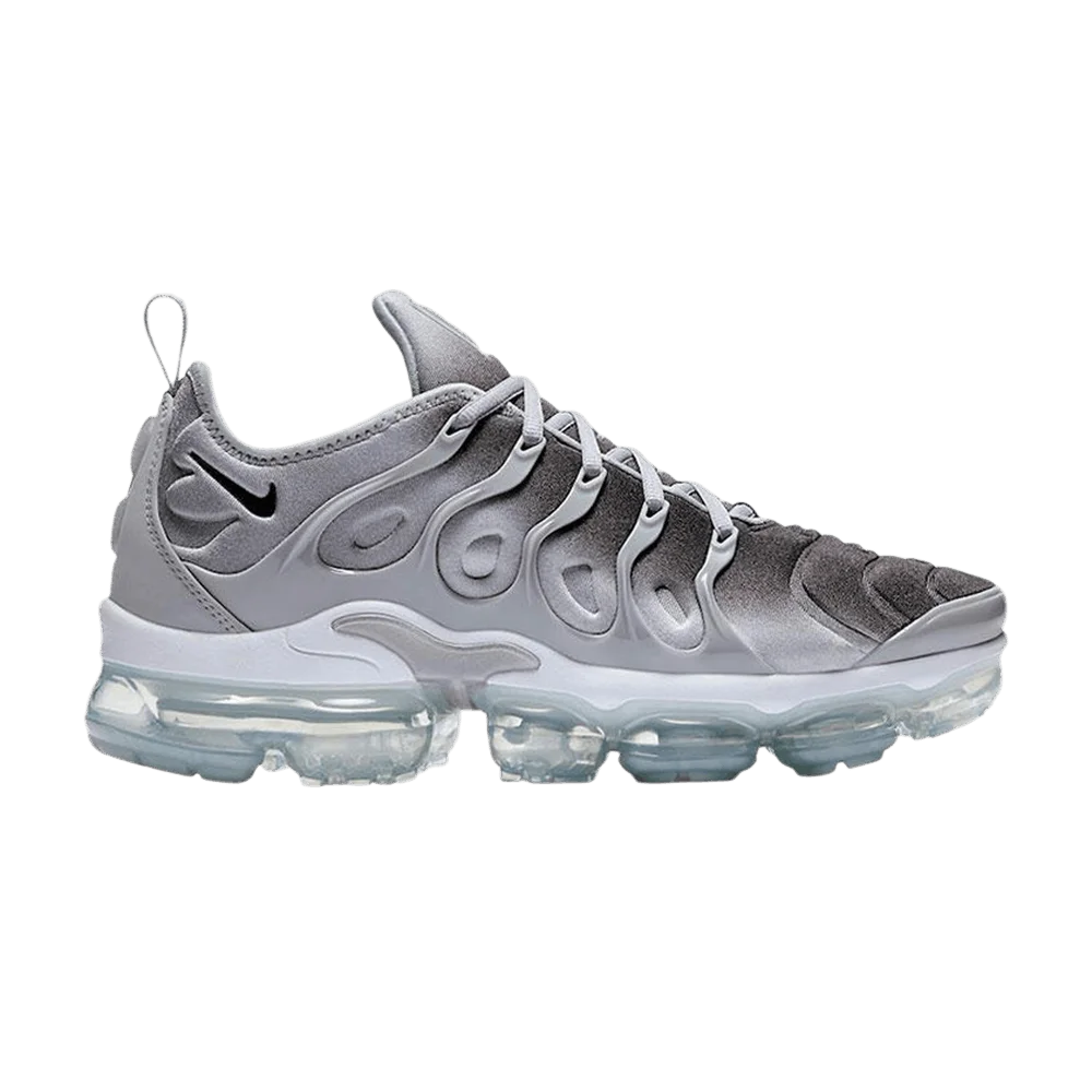Krossovki-Nike-Air-Vapormax-Plus-Wolf-Grey-White-2023