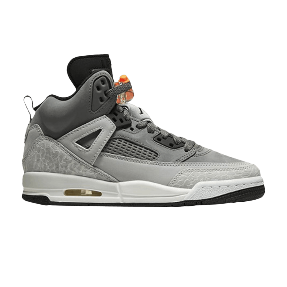 jordan-spizike-gs-cool-grey-317321-008
