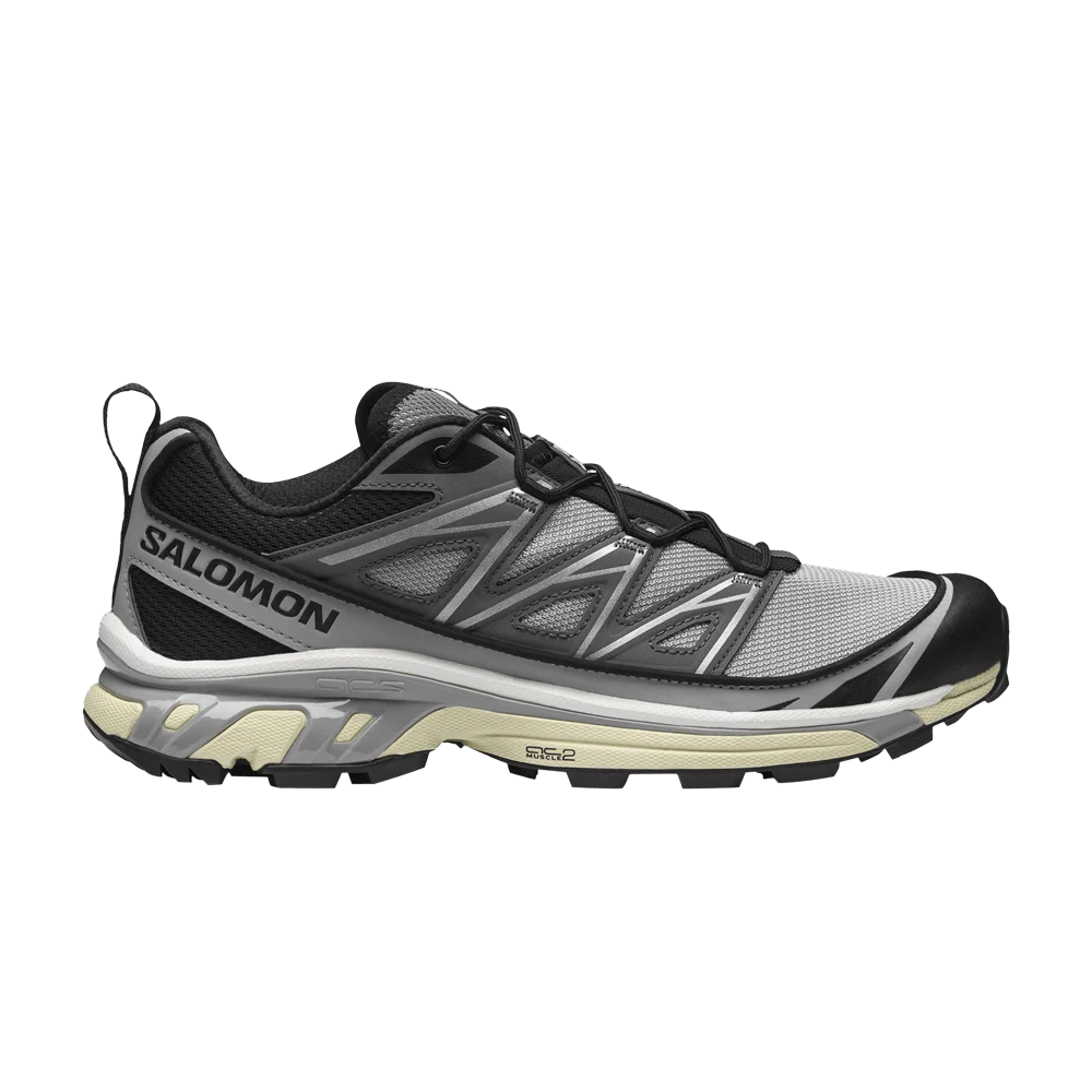 Krossovki-Salomon-XT-6-Expanse-Alloy-Quiet-Shade
