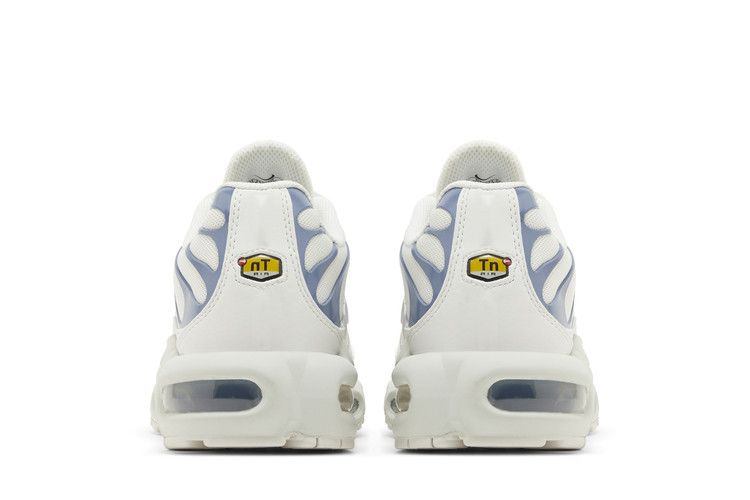 Кроссовки Nike Wmns Air Max Plus 'Ashen Slate'