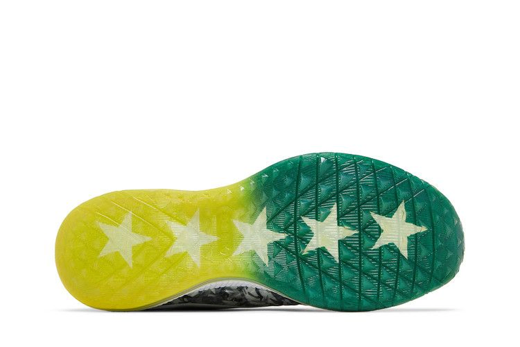 Кроссовки Nike Field General 2 'Oregon Ducks'